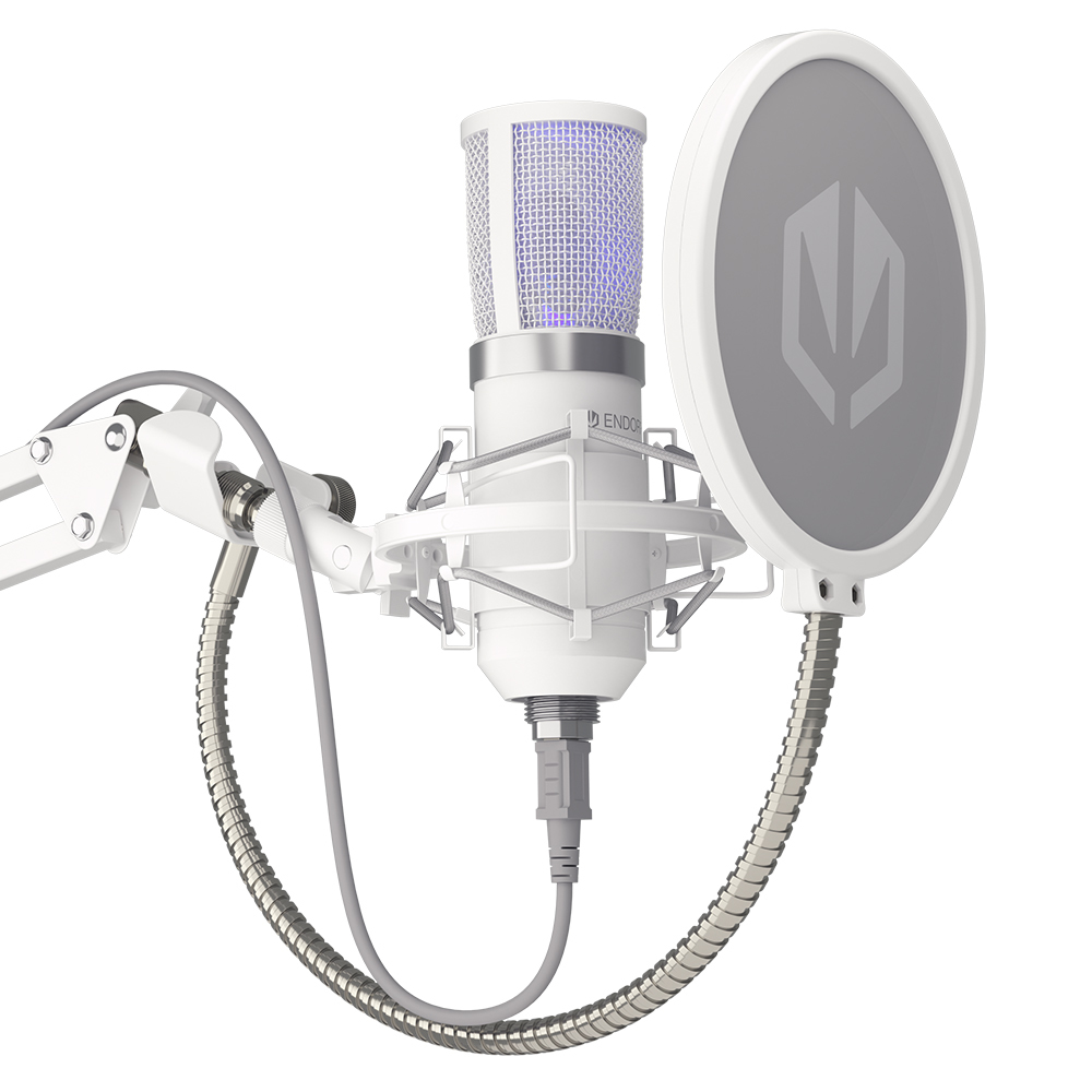 Image of ENDORFY Solum Streaming White PC microphone