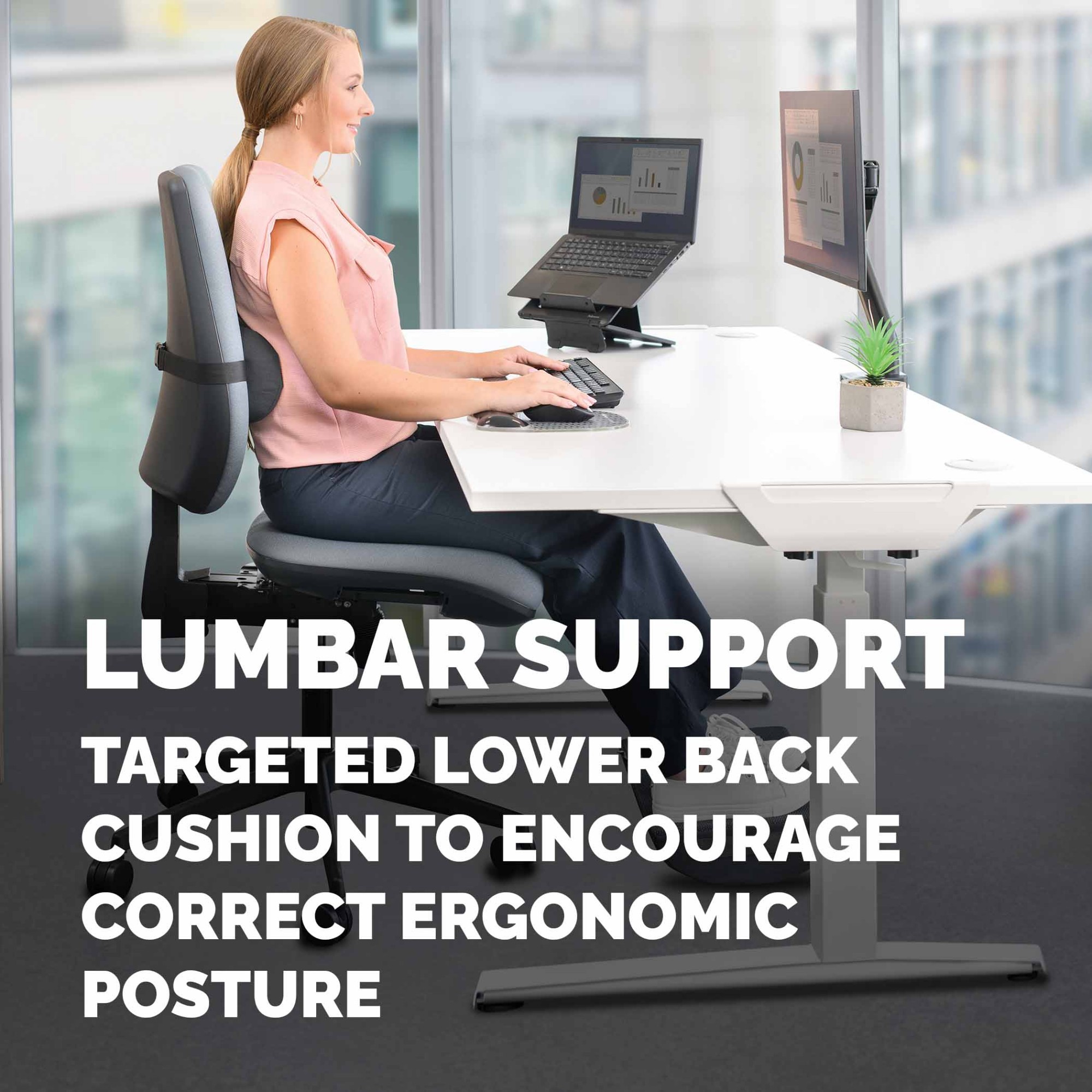 Fellowes Back Support for Office Chair Breyta Lumbar Cushion