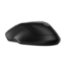 HP 255 Dual Wireless Mouse