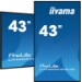 iiyama 43" 4K UHD professional digital signage display with advanced control and connectivity options