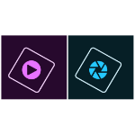 Adobe Premiere Elements Academisch Hernieuwing Nederlands 12 maand(en)