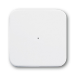Busch-Jaeger 6731-214 zender voor slimme woning Draadloos Wandmontage RF Draadloos