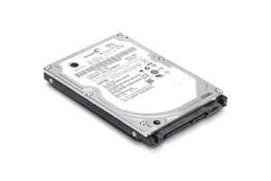 IBM ExS/HDD/300G 15K 6Gps SS 3.