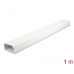 DeLOCK Cable Duct with Cover self-adhesive 57 x 28 mm - length 1 m white