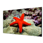 Hikvision DS-D2055LR-G video wall display LCD Indoor