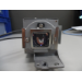 Diamond Lamps Lamp for HITACHI CP-DX250:CP-DX300 Projector