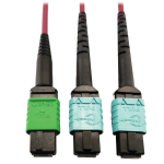 Tripp Lite N846D-03M-16DMG 400G Multimode 50/125 OM4 Plenum Fiber Optic Cable, 16F MTP/MPO-APC to (x2) 12F MTP/MPO-UPC (F/F), Magenta, 3 m