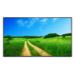Allsee Technologies M50P6 Signage Display Digital signage flat panel 127 cm (50") LED 450 cd/m² Full HD Black
