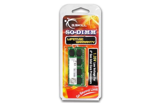 Image of G.Skill 4GB DDR3-1600 memory module 1 x 4 GB 1600 MHz