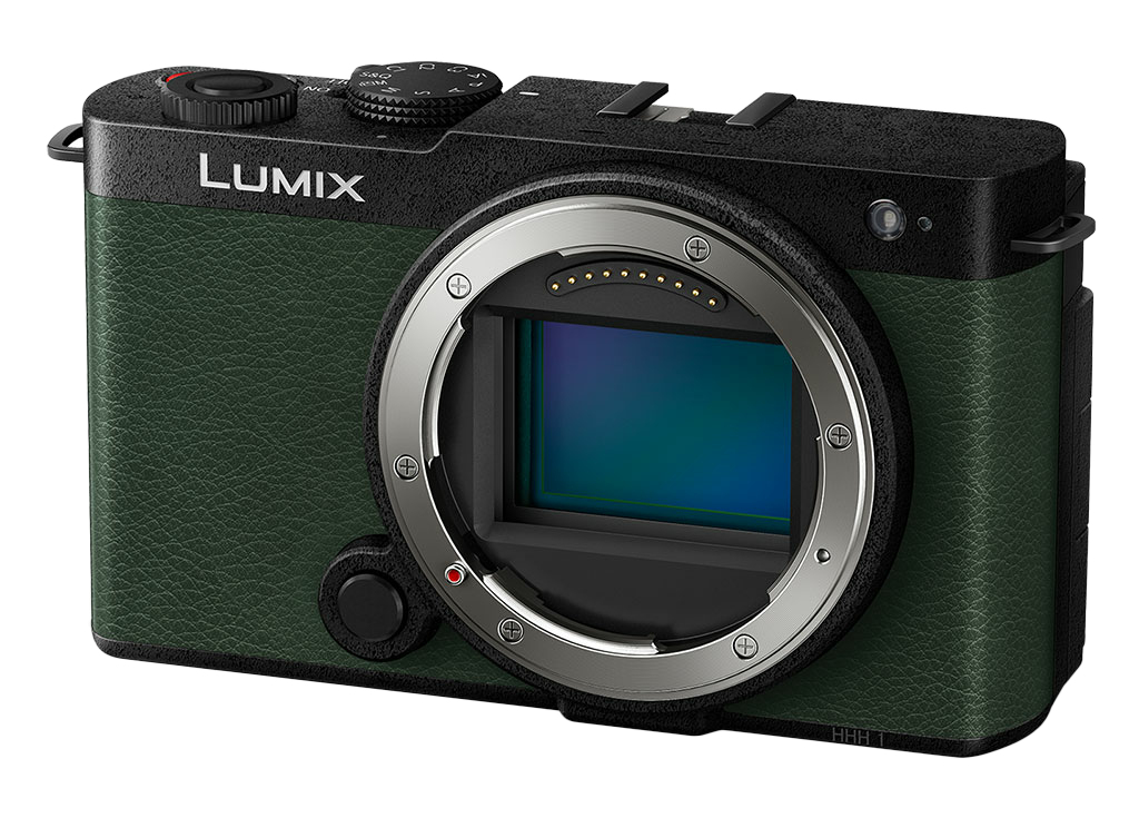 Panasonic Lumix S9 Compact camera 24.2 MP CMOS 12000 x 8000 pixels Green