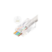 Lanview LVN125305 wire connector RJ45 Transparent