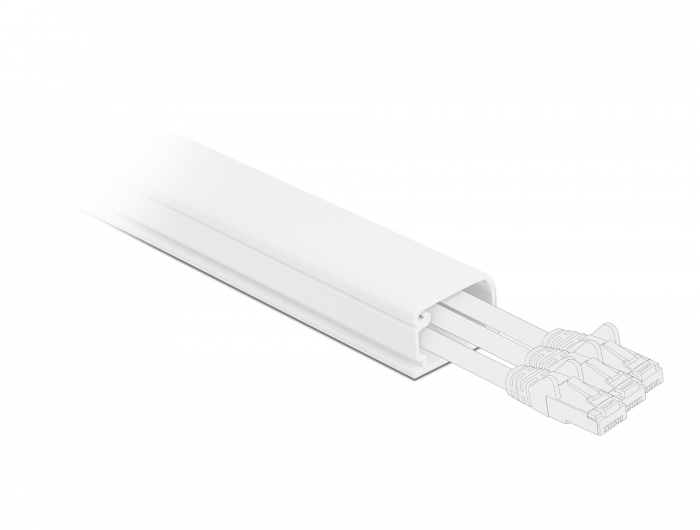 DeLOCK Cable Duct with Cover self-adhesive 35 x 20 mm - length 1 m white