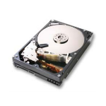 Western Digital Deskstar 7K1000 internal hard drive 1 TB 7200 RPM 32 MB 3.5" Serial ATA II
