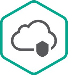 Kaspersky Endpoint Security Cloud Security management 2 year(s)