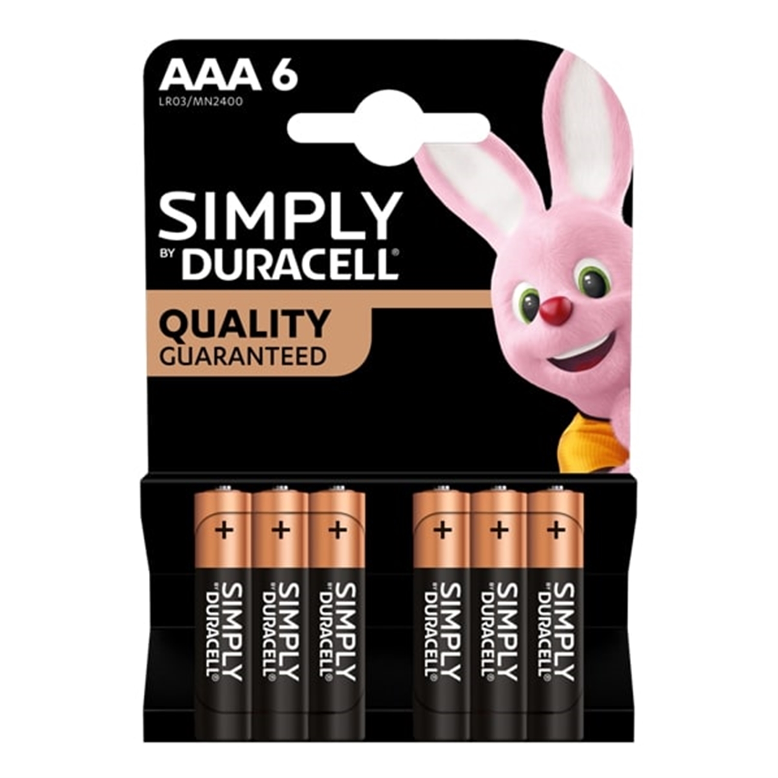 MN2400B6SIMPLY DURACELL Simply Alkaline Pack of 6 AAA Batteries