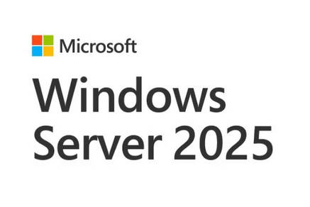 Microsoft Windows Server CAL 2025 1 license(s)