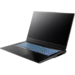 MEDION Erazer Defender 17 P10 Intel Core i9 14900HX 16GB RAM 1TB SSD GeForce RTX 5060 144Hz 17.3" Windows 11 Home Gaming Laptop Intel® Core™ i9 i9-14900HX 43.9 cm (17.3") Full HD DDR5-SDRAM NVIDIA GeForce RTX 5060 Wi-Fi 6E (802.11ax) Black