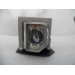 Diamond Lamps Lamp for OPTOMA HT1081:PRO800P:TW615-3D:TX615-3D:EW615:DH1010:EH1020:EX612:EX615:HD180:HD2200:TH1020:TX612:TX615:HD22:OPX3200:OP300W:GT750-XL:HD20-LV:HD20:HD200X:HD200X-LV:HD23:HD230X:TX615-GOV:TW615-GOV Projector