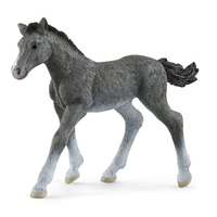 Image of Schleich Horse Club Trakehner Foal Toy Figure 3 to 8 Years Grey 13944