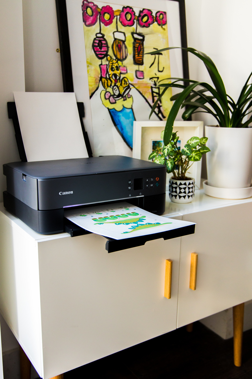 Canon PIXMA TS5350i Wireless Colour 3-in-One Inkjet Photo Printer, Black