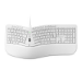 MediaRange MROS272 keyboard Office USB QWERTZ German White