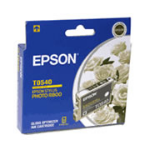 Epson T0540 Original 440 pc(s)