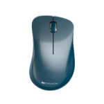 Canyon CNE-CMSW11BL mouse Right-hand RF Wireless Optical 1200 DPI