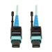 Tripp Lite N846-03M-24-P InfiniBand/fibre optic cable 118.1" (3 m) MTP