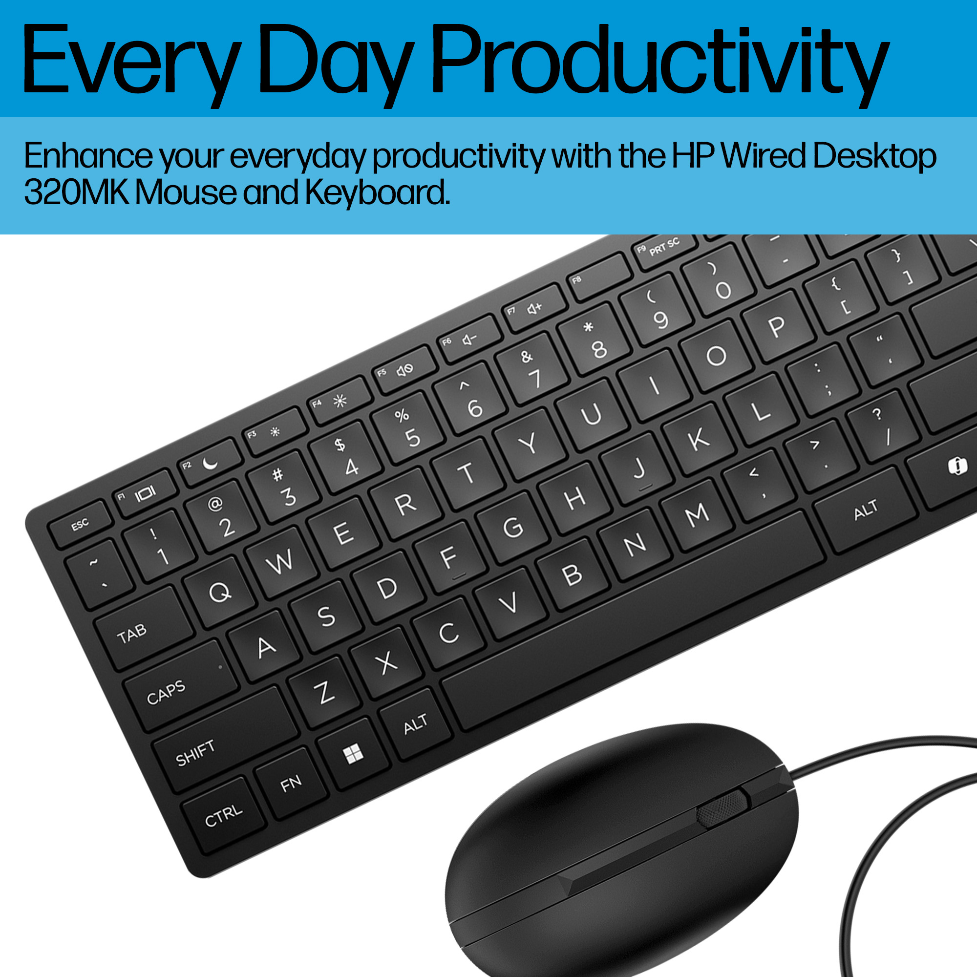 Hp Wired Desktop 320Mk Mouse And Keyboard