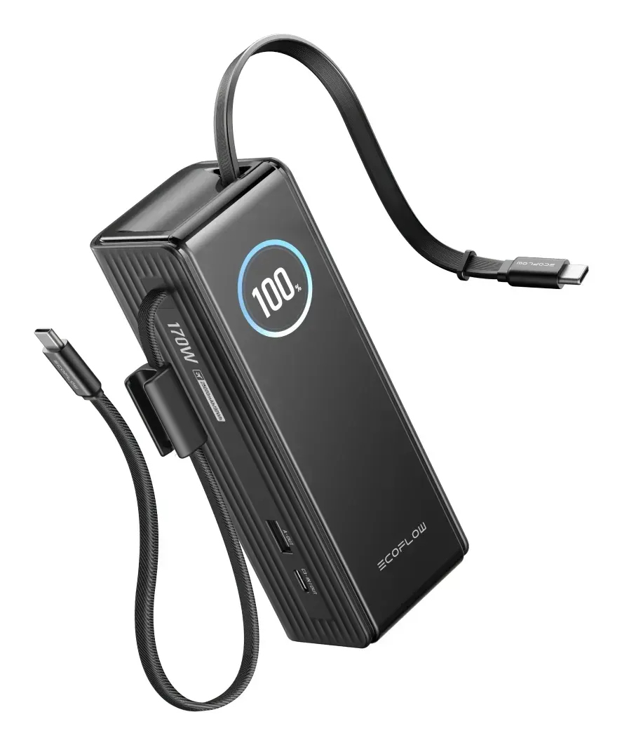 EcoFlow EF-RAPID25K100W-B-EU power bank 25000 mAh Black