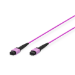 Digitus Fiber Optic Patchcord, MPO, Female, OM4, Method A, 10m