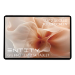 Entity G12 Pro Mediatek 8 GB 32 cm (12.6") 128 GB Android 14 Grijs