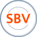 SBV SBV-ONE Rear Mount Second Display / Black / 9.7" Non-Touch / 15pin (for SBV-ONE/SBV-3)