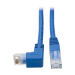Tripp Lite N204-001-BL-DN netwerkkabel Blauw 0,31 m Cat6 U/UTP (UTP)