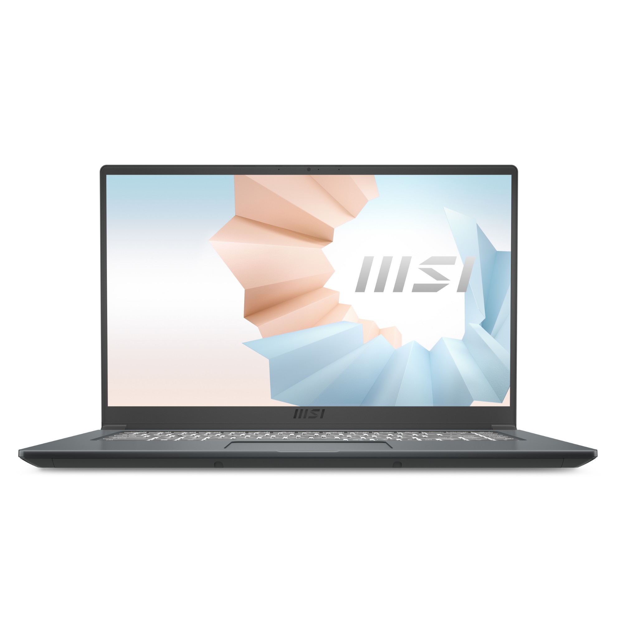 MSI 15 15.6 inches i7-1165G7 16GB 1TB MODERN15A220 Laptop