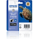 DPSB Epson Light Light Black Ink Cartridge for Stylus Photo R3000