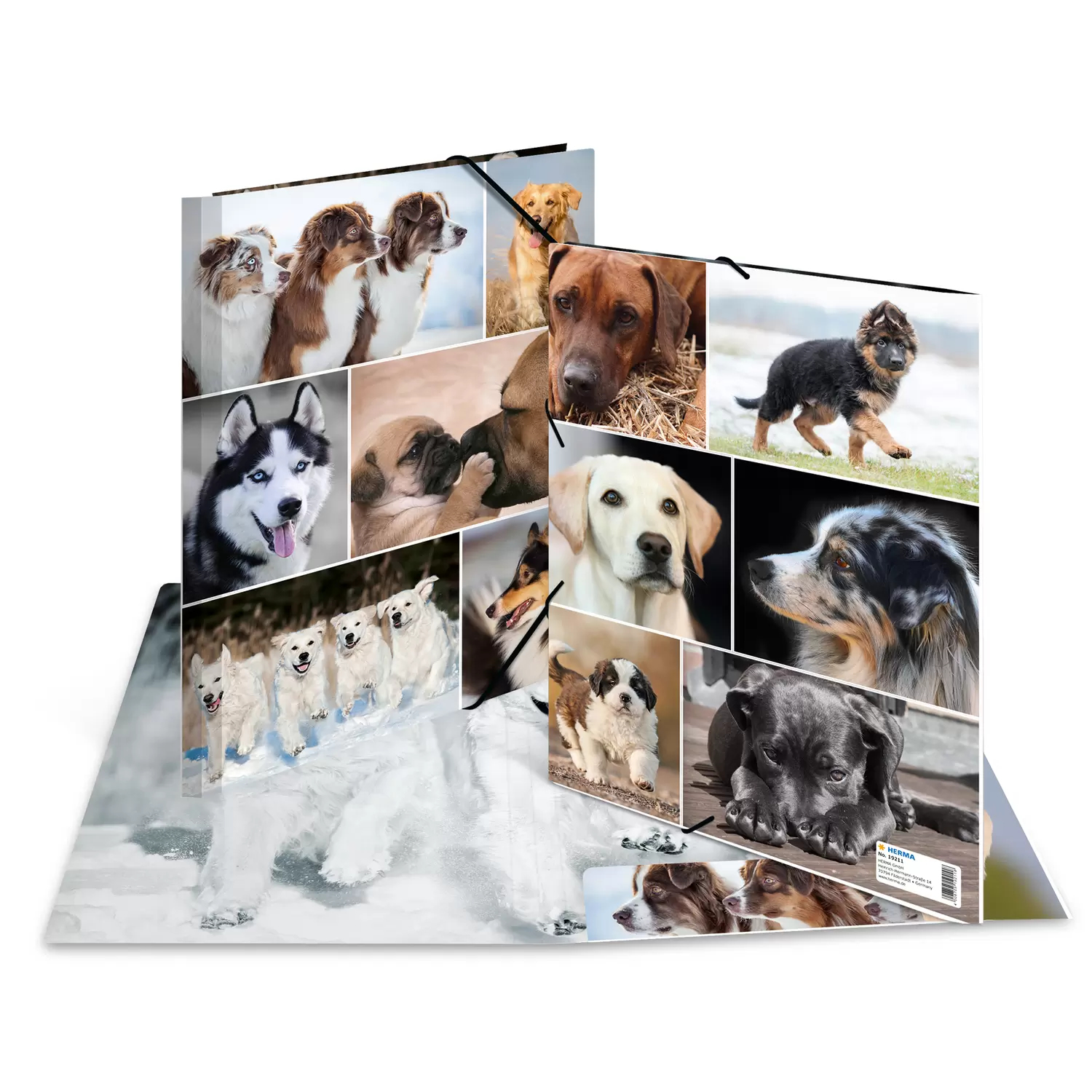 Image of HERMA 19211 folder Cardboard Multicolour A4