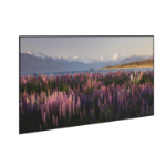 Da-Lite DL17003 projection screen 2.54 m (100") 16:9