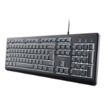 Trust Primo Beleuchtete keyboard Home/Office USB QWERTY UK English Black