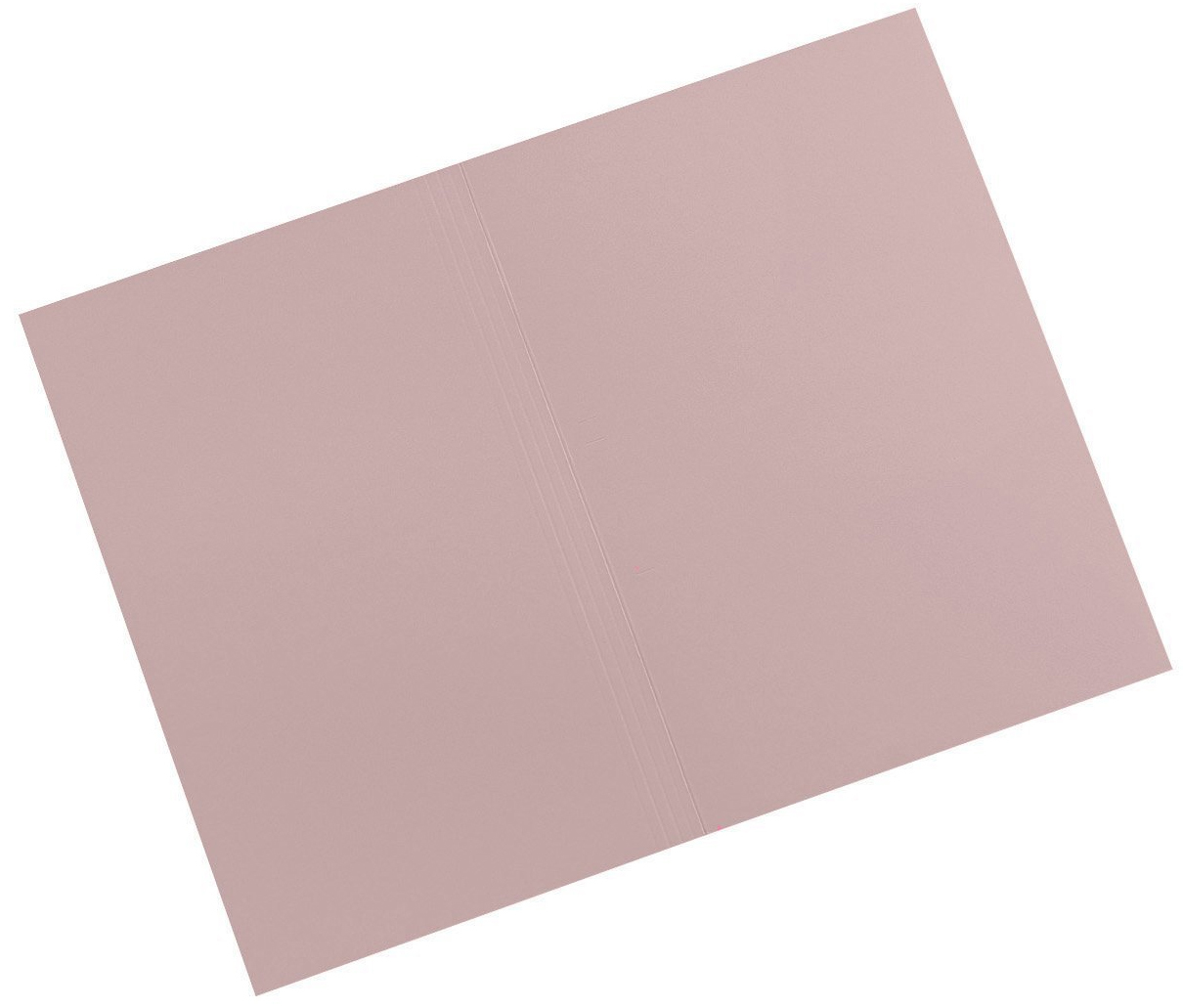 Photos - File Folder / Lever Arch File Guildhall FS315-BUFZ folder 350 x 242 Pink