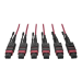 Tripp Lite N858-23M-3X8-MG MTP/MPO Multimode Base-8 Trunk Cable, 24-Strand, 40GB/100GB, 40/100GBASE-SR4, OM4 Plenum-Rated (3xF/3xF), Push/Pull Tab, Magenta, 23 m (75 ft.)