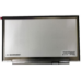 CoreParts MSC1402K30-243G notebook spare part Display