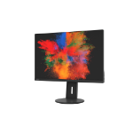 Fujitsu Displays B2410 WS computer monitor 61.2 cm (24.1") 1920 x 1200 pixels WUXGA LED Black