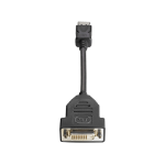 HP DisplayPort - DVI-D 0.19 m Black