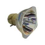 ECL-8000-PG - Projector Lamps -