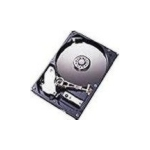 IBM 43W7630 internal hard drive 1 TB 7200 RPM 3.5" Serial ATA II