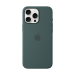 Apple iPhone 16 Pro Max Silicone Case with MagSafe - Lake Green