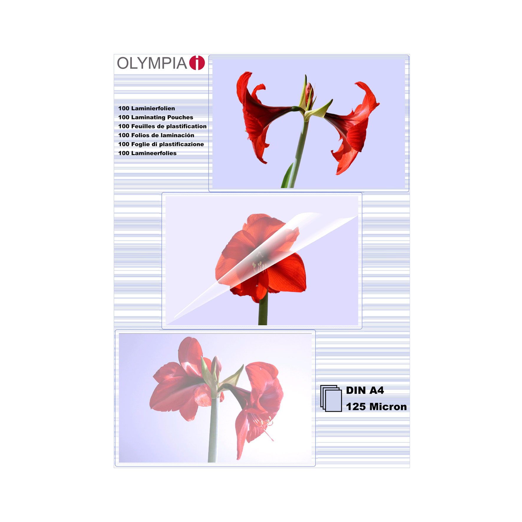 Image of Olympia 1x100 DIN A4 125 micron laminator pouch 100 pc(s)