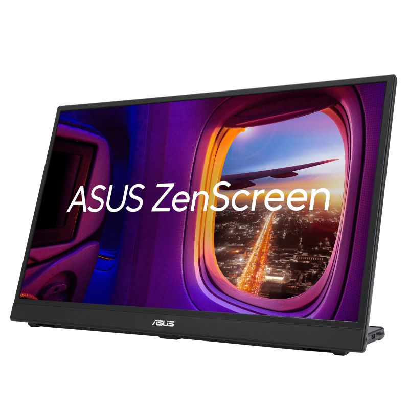 ASUS ZenScreen MB17AHG 43.9 cm (17.3") 1920 x 1080 pixels Full HD Black