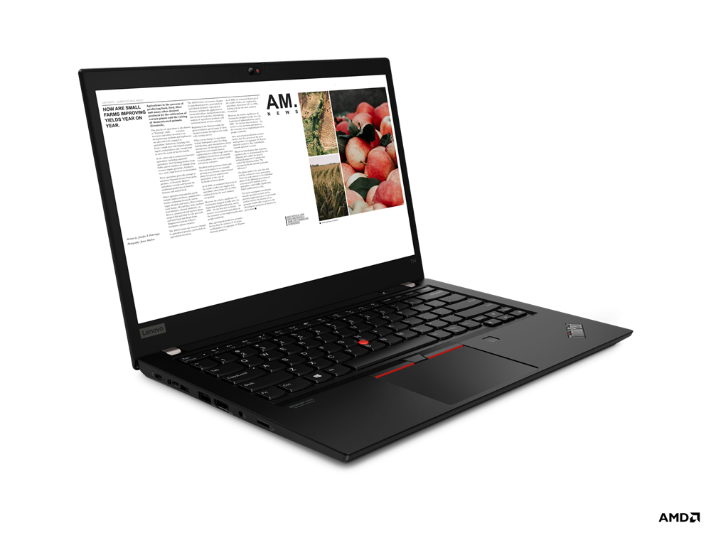 Lenovo ThinkPad T14 Gen 1 (AMD) 4750U Netbook 35.6 cm (14